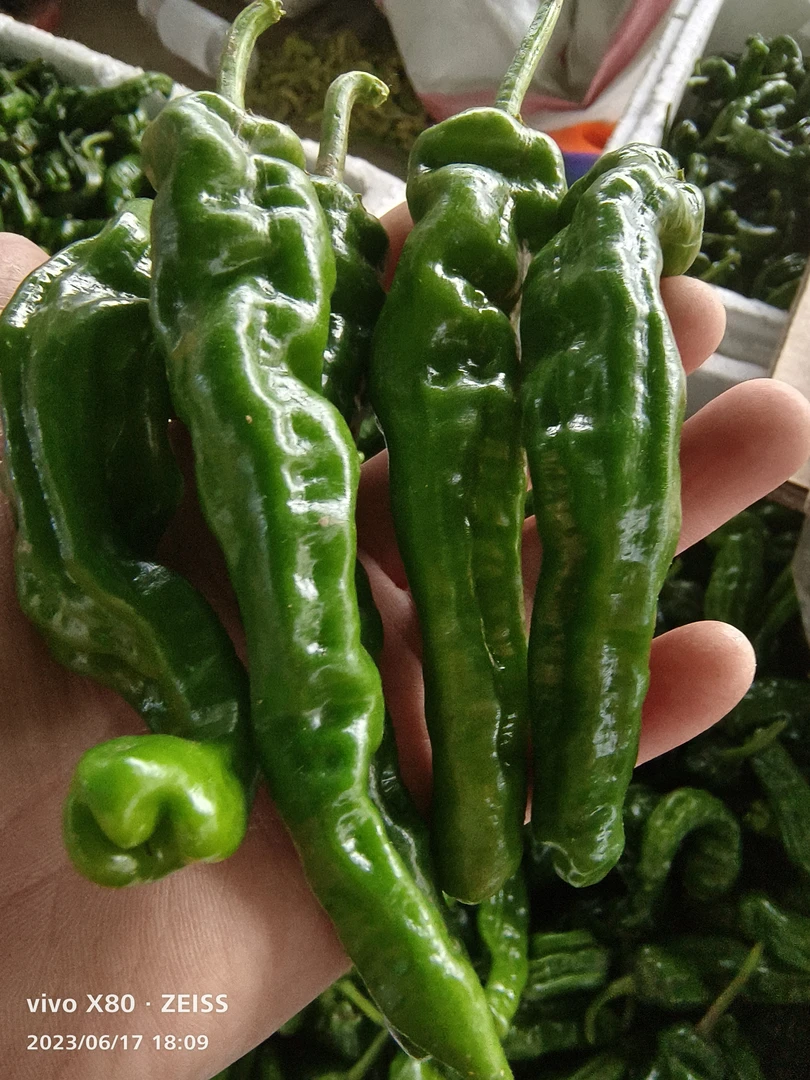 无品牌农家特辣特香小皱皮辣椒嫩辣椒新鲜薄皮椒螺丝椒超辣3/5