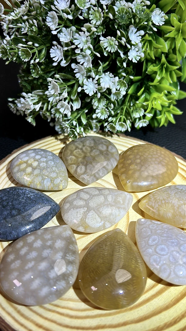 【梵花珊瑚玉】纯天然赞比大花珊瑚玉手镯亿载移花之美玉石