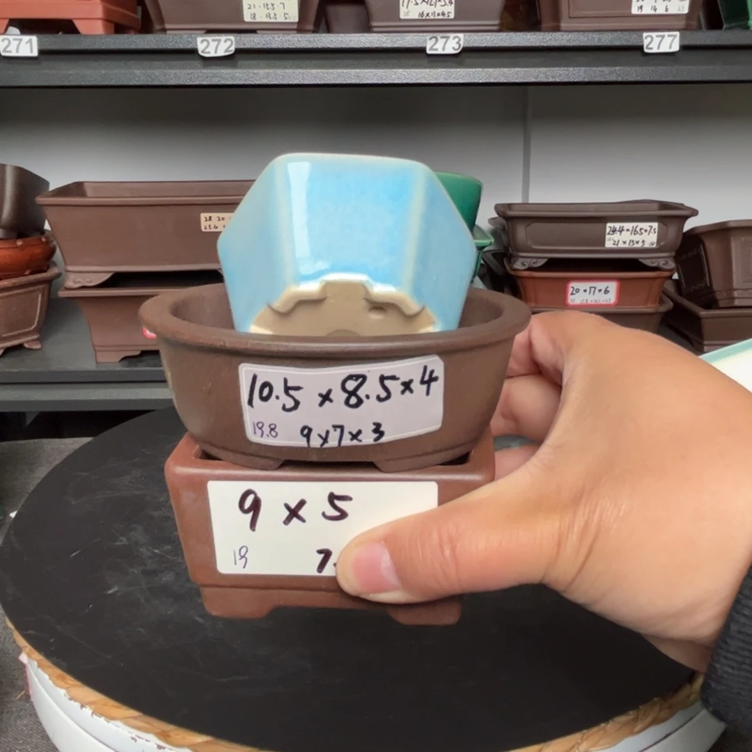 红陶20CM（含）-50CM（不含）摩**圣