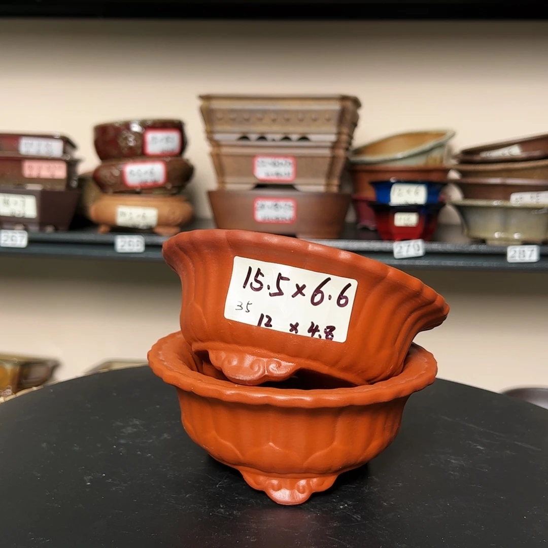 紫砂20CM（含）-50CM（不含）
