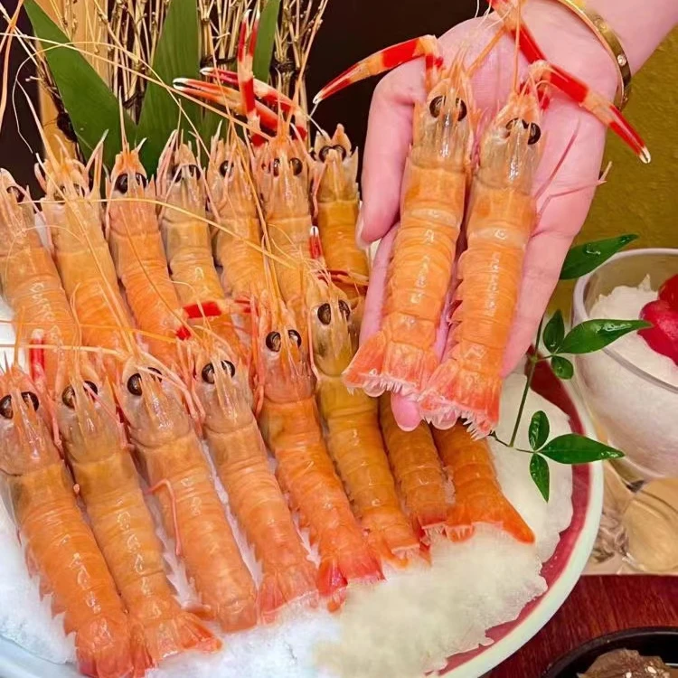 【渔夫与海】刺身海鳌虾 国产东海海鳌虾 船冻锁鲜日料级别（中号）