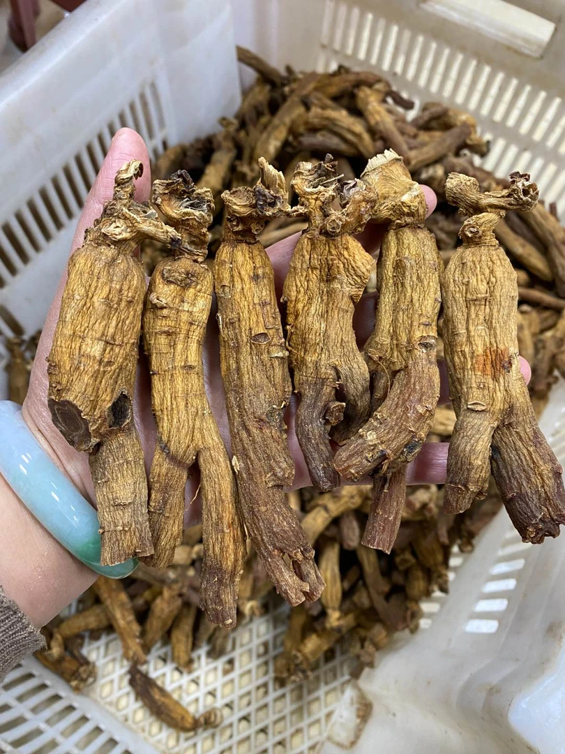 集安边条红参高年份后劲十足