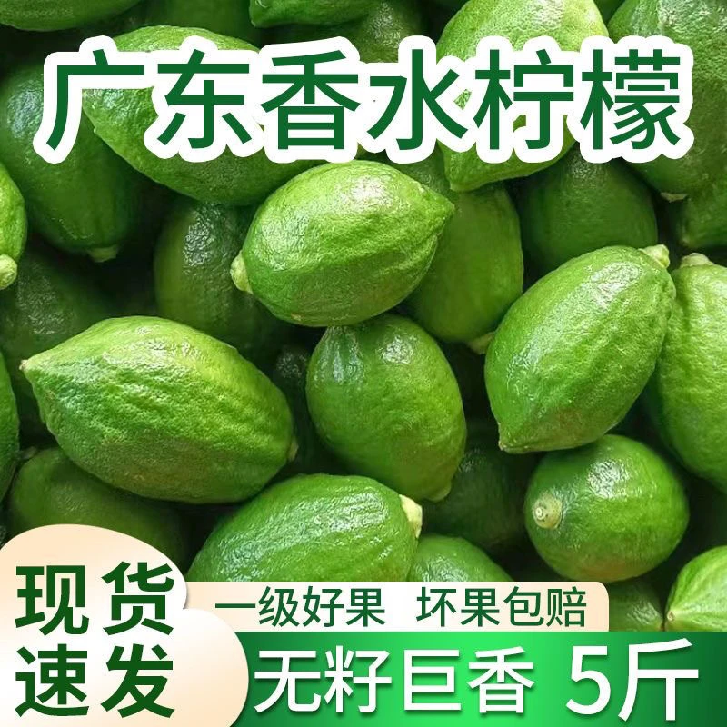 广东香水柠檬一级果正宗无籽香水奶茶店手打柠檬茶专用新鲜柠檬