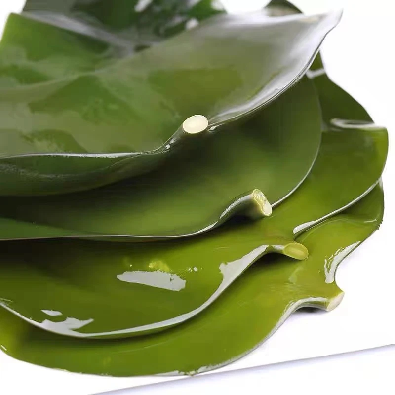 新鲜盐渍海带头 威海荣成 特厚 火锅 凉拌 炖煮 营养 厚实 鲜嫩