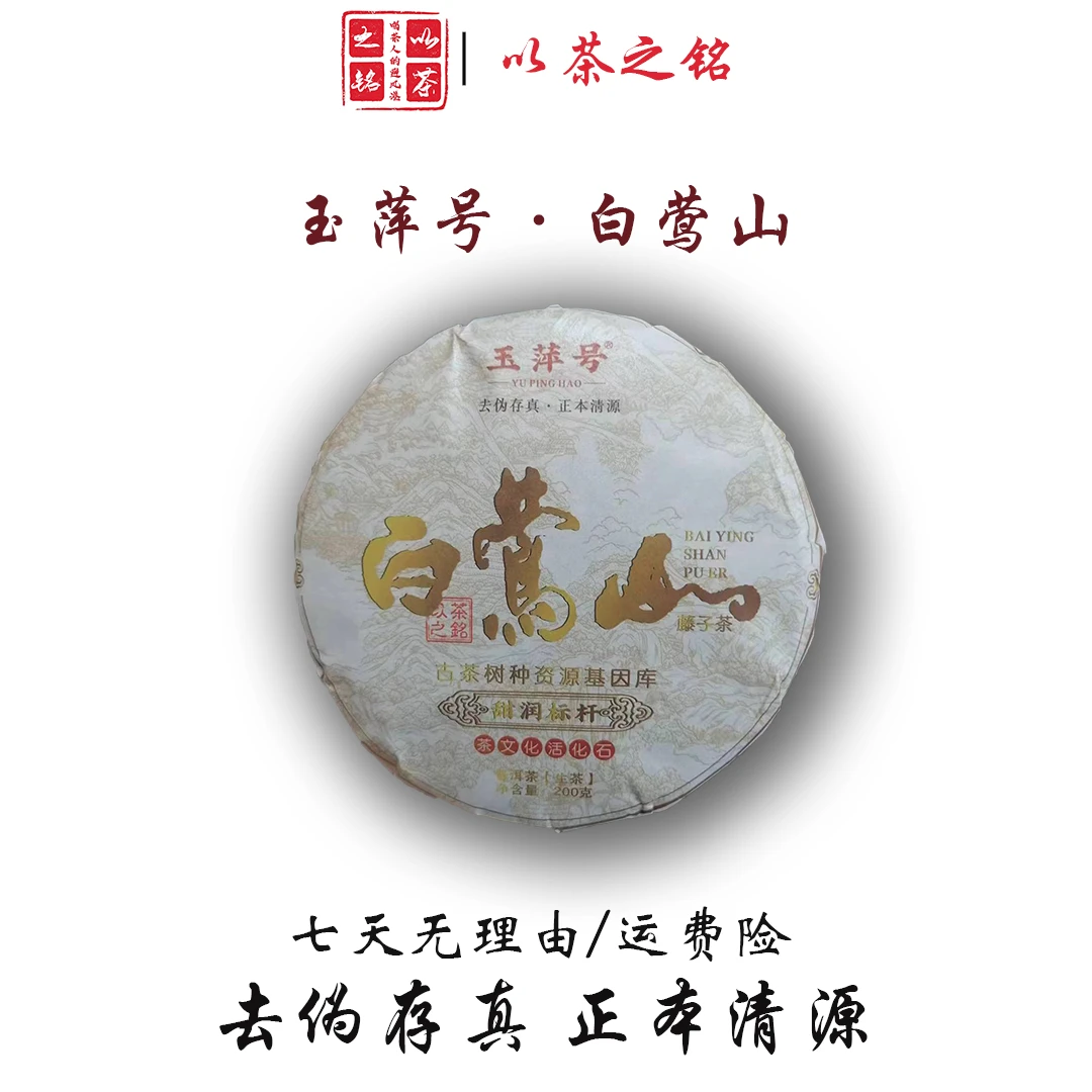 【以茶之铭】玉萍号·白莺山·藤子茶200g生茶 甜润标杆（带茶样）