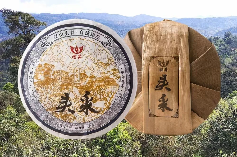 2023年 福升 大雪山 头采  普洱生茶    357g