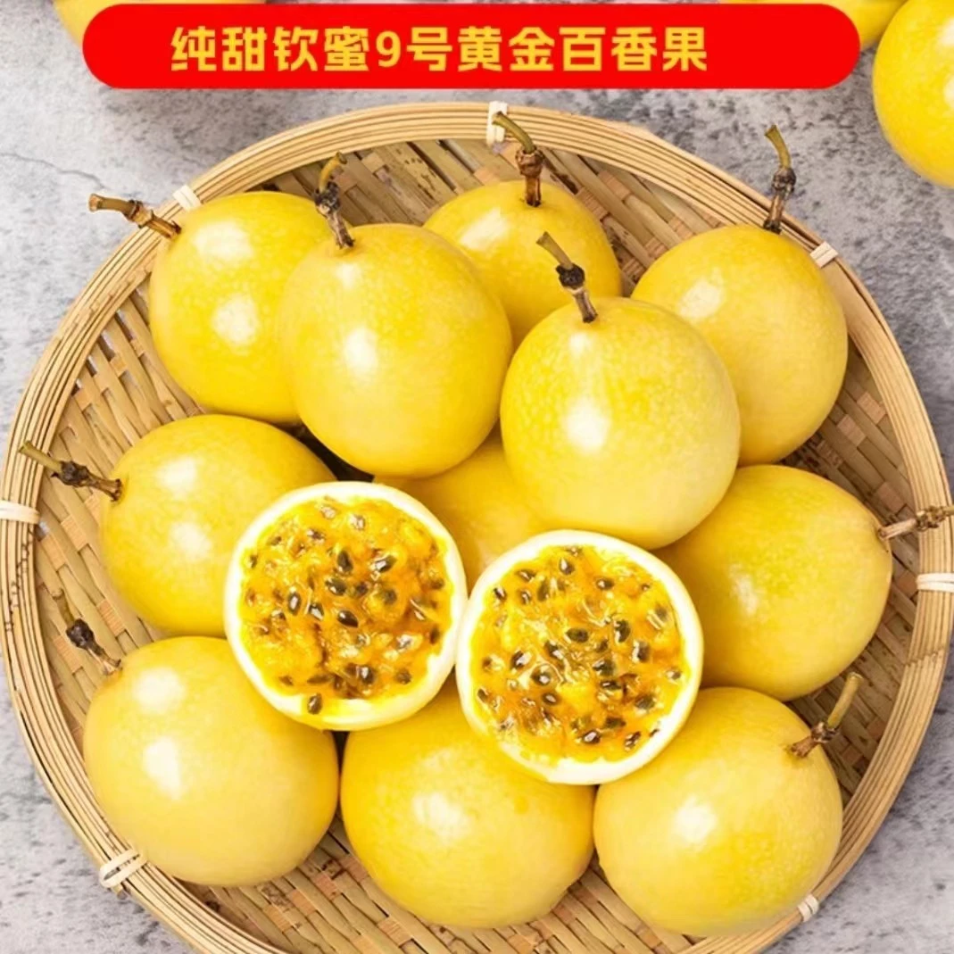 【到手12个】中果40-60g钦蜜9号百香果新鲜香甜营养天然时令鲜甜