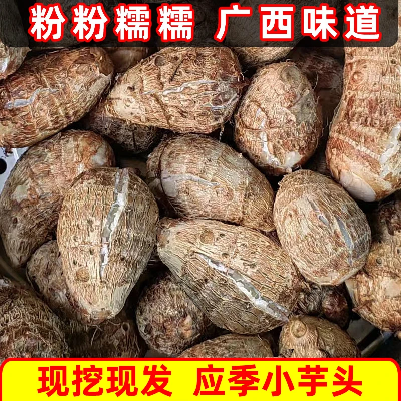 2024应季芋头新鲜小芋头广西芋艿现挖红芽芋小香芋毛芋仔粉糯香甜