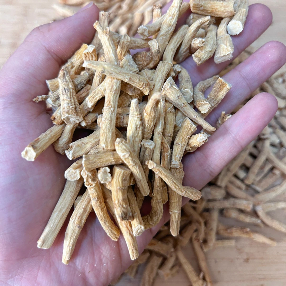 西洋参丁 西洋参丁