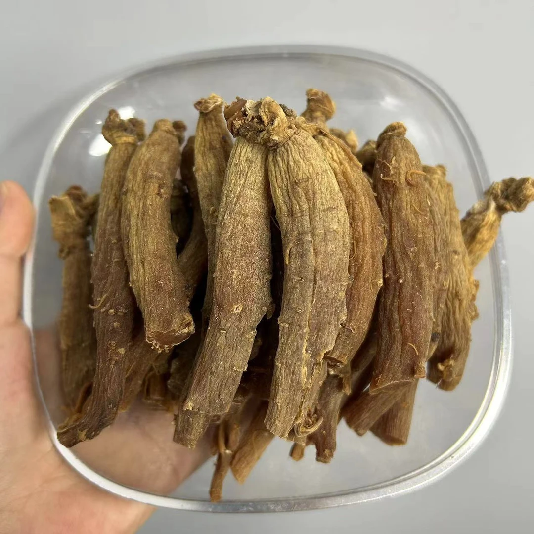 【20g/支】 高丽籽 参味浓菊花心 整支干货