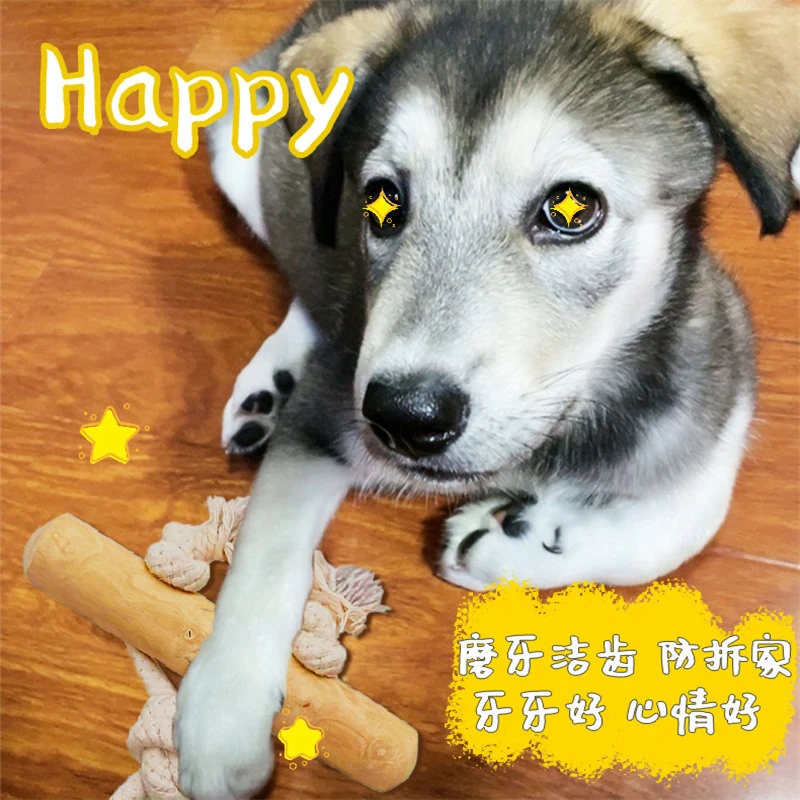 狗狗磨牙棒咖啡木头洁齿原味小型洁牙棒防拆家小中大型犬可用玩具