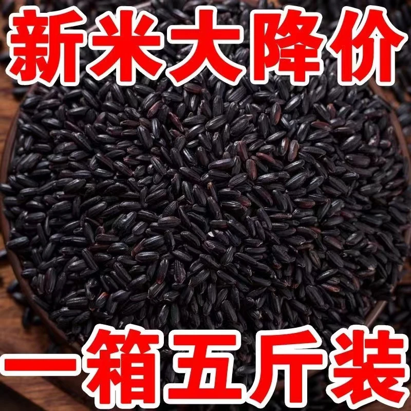 【5斤大降价】东北农家黑米无染色东北黑米五谷杂粮黑米新米50g