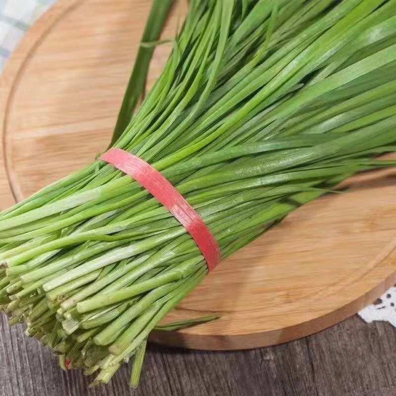 【众旺农场】韭菜 新鲜现割现发不烧心不辣心（±2两）京东顺丰包邮