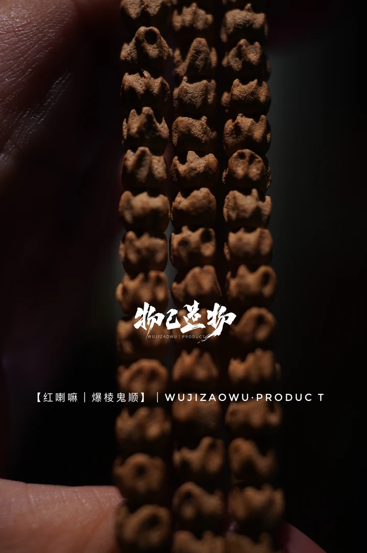 【红喇嘛｜爆棱坑鬼】顶级红皮 狂野之至 柏香籽手串