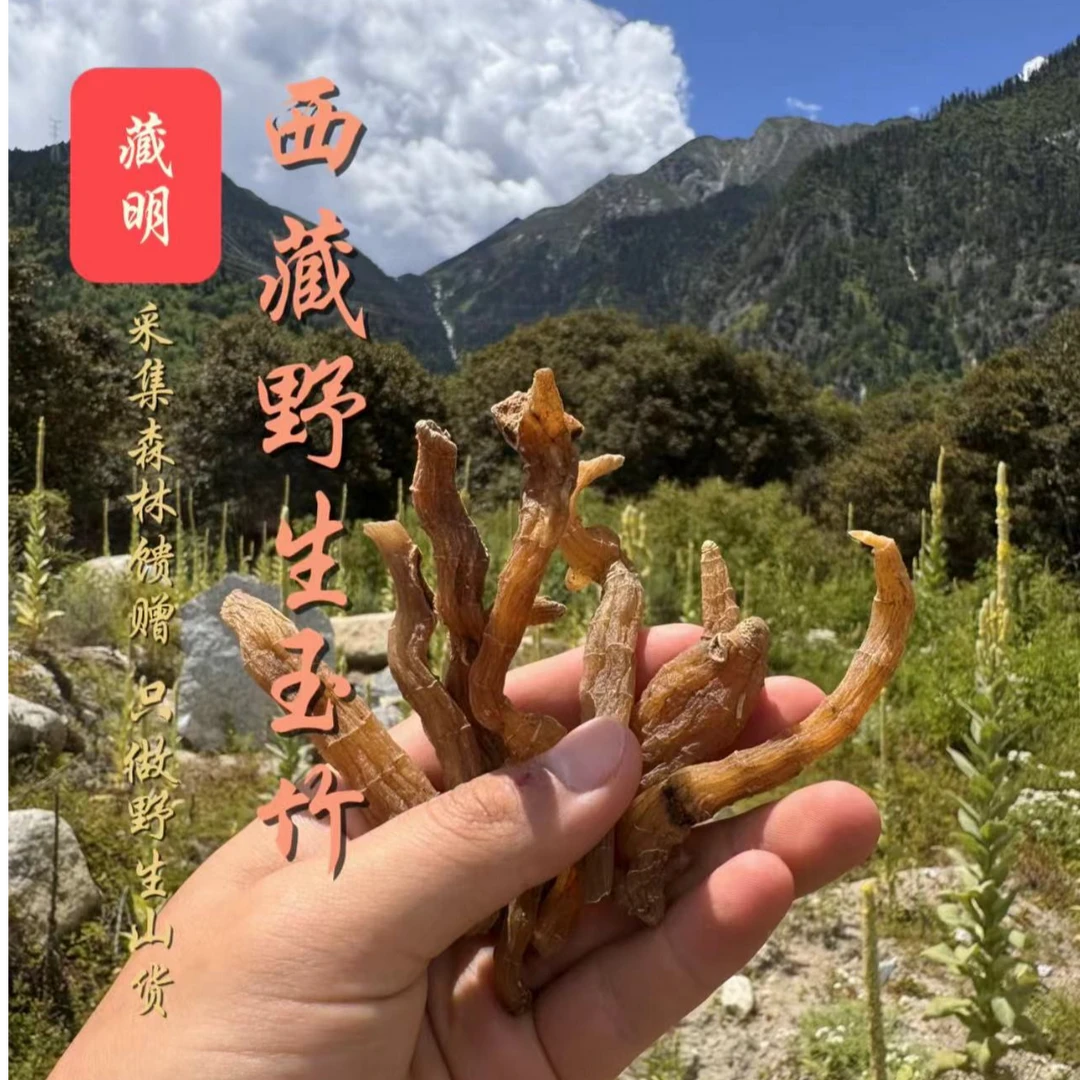 藏明 西藏林芝高海拔野生玉竹精选干货