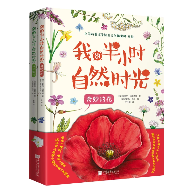 我的半小时自然时光  全两册  有趣的植物故事 沉浸式体验自然