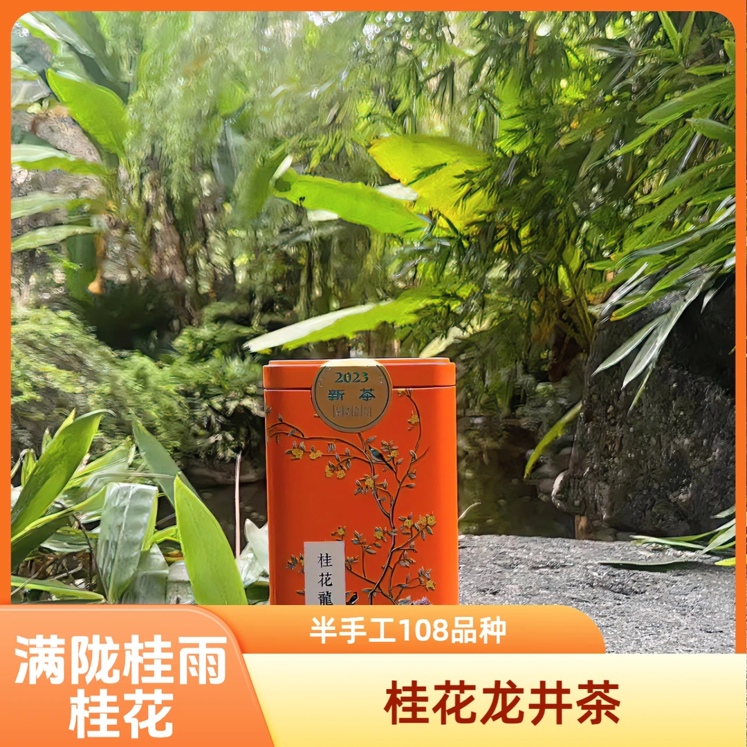 满陇桂雨桂花龙井茶100g/150g 2024年明前龙井茶春茶桂花