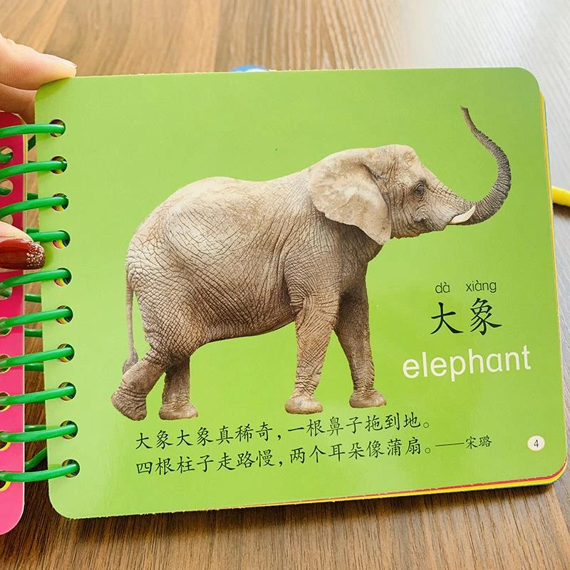 片圈圈书撕不坏婴幼儿看图认动物大卡片学前认知启蒙幼儿读物启蒙