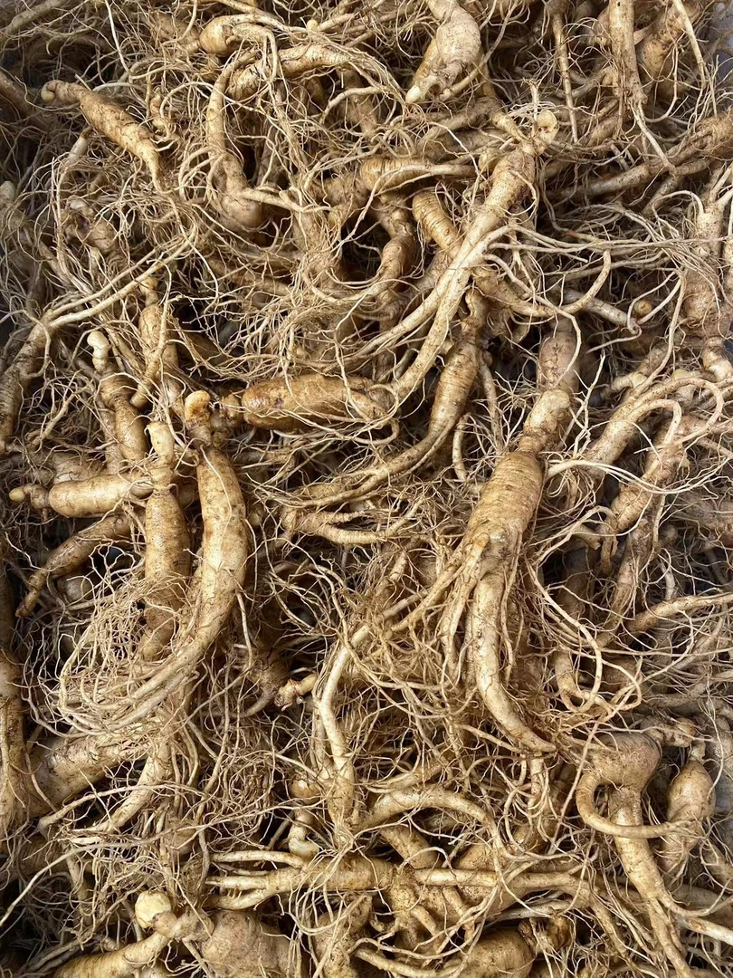 直播改价链接（2)长白山林下参人参