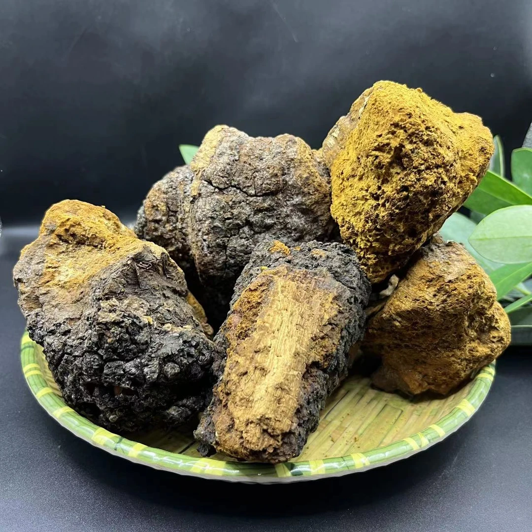 【民康】滇缅特产 现收 【桦树/茸】