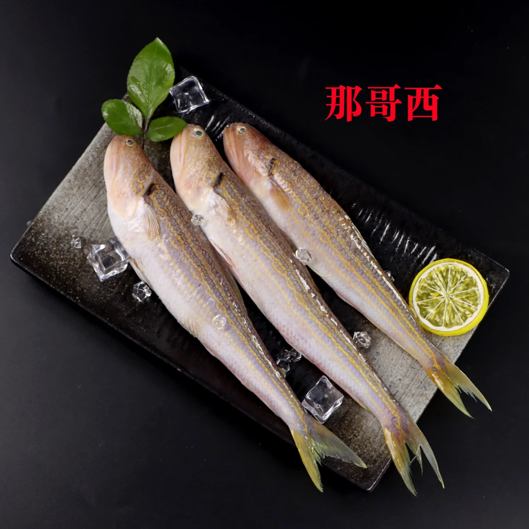汕头海门本港野生海鲜 野生那歌鱼 广东省内顺丰包邮