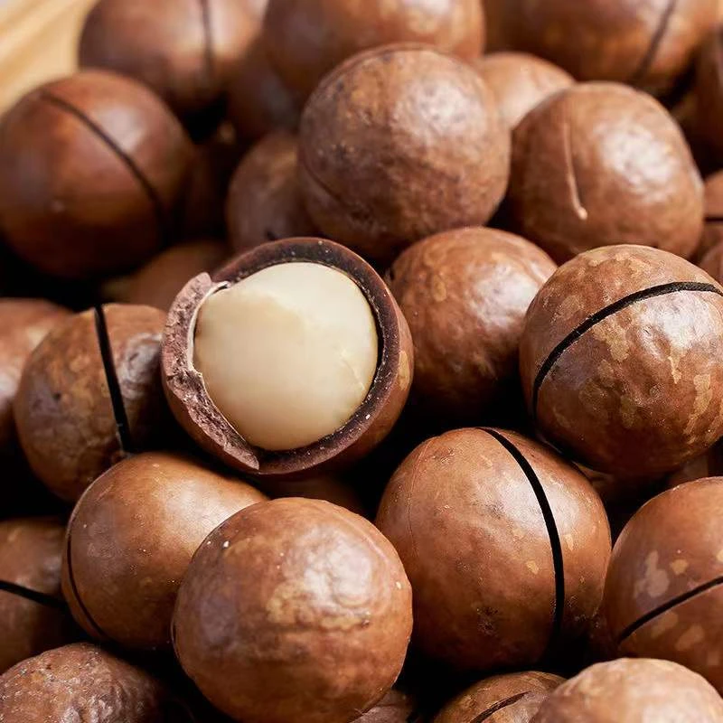 新货颗粒夏威夷果含罐大颗奶油味坚果干果零食散装送开口器