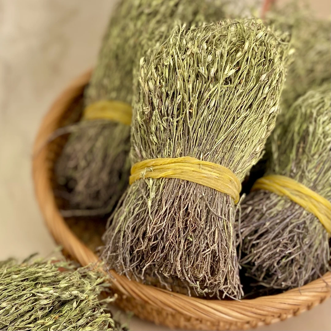 【年货节】(干货)独脚金