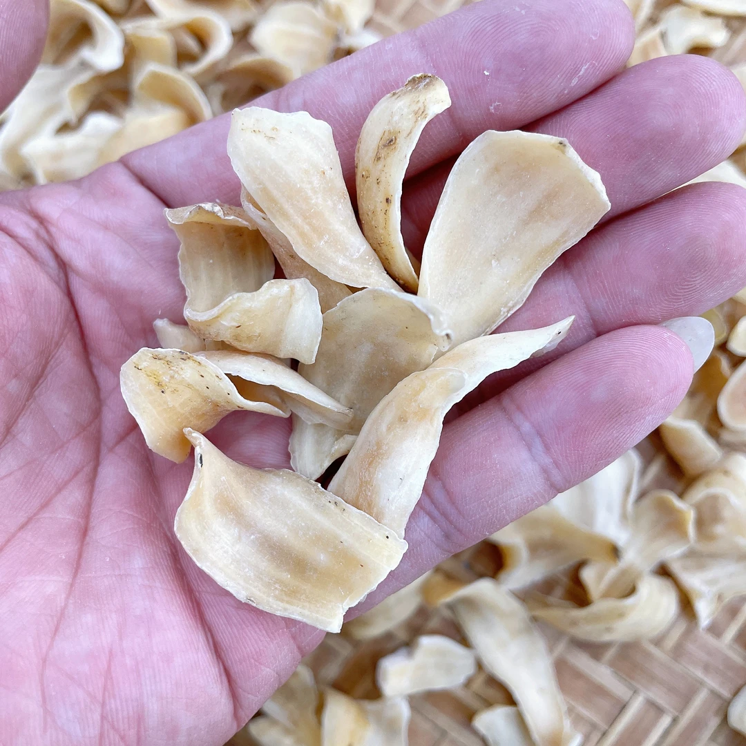 【干货】精选龙牙百合