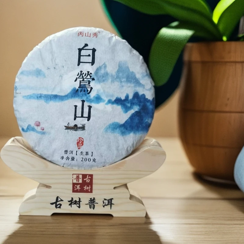 云南普洱茶饼茶白莺山
