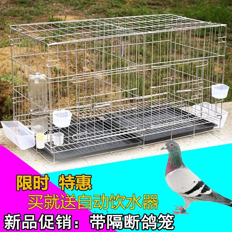鸽子笼家用配对养殖全套笼子大型白鸽信鸽铁折叠鸟笼鸽笼