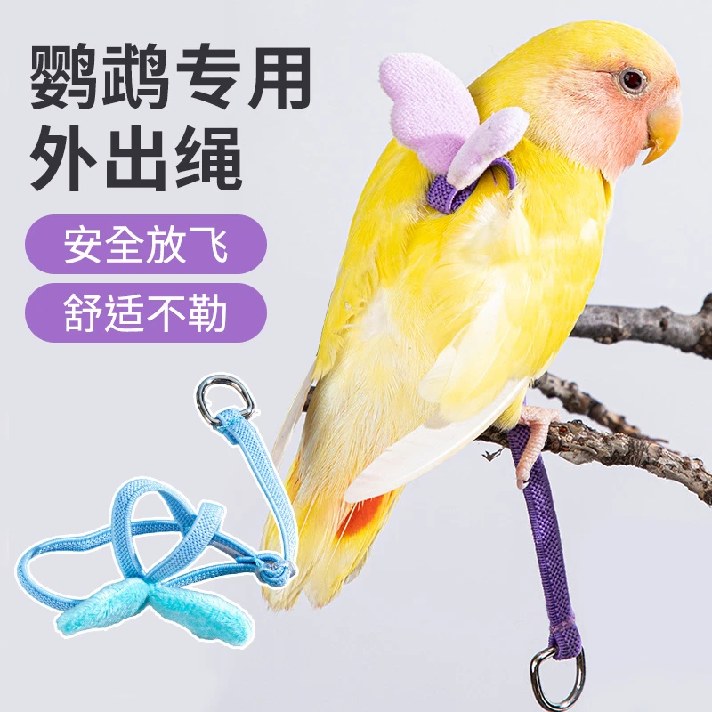 鸟用鹦鹉放飞绳玄凤虎皮牡丹牵引绳飞行外出背带遛鸟神器用品玩具