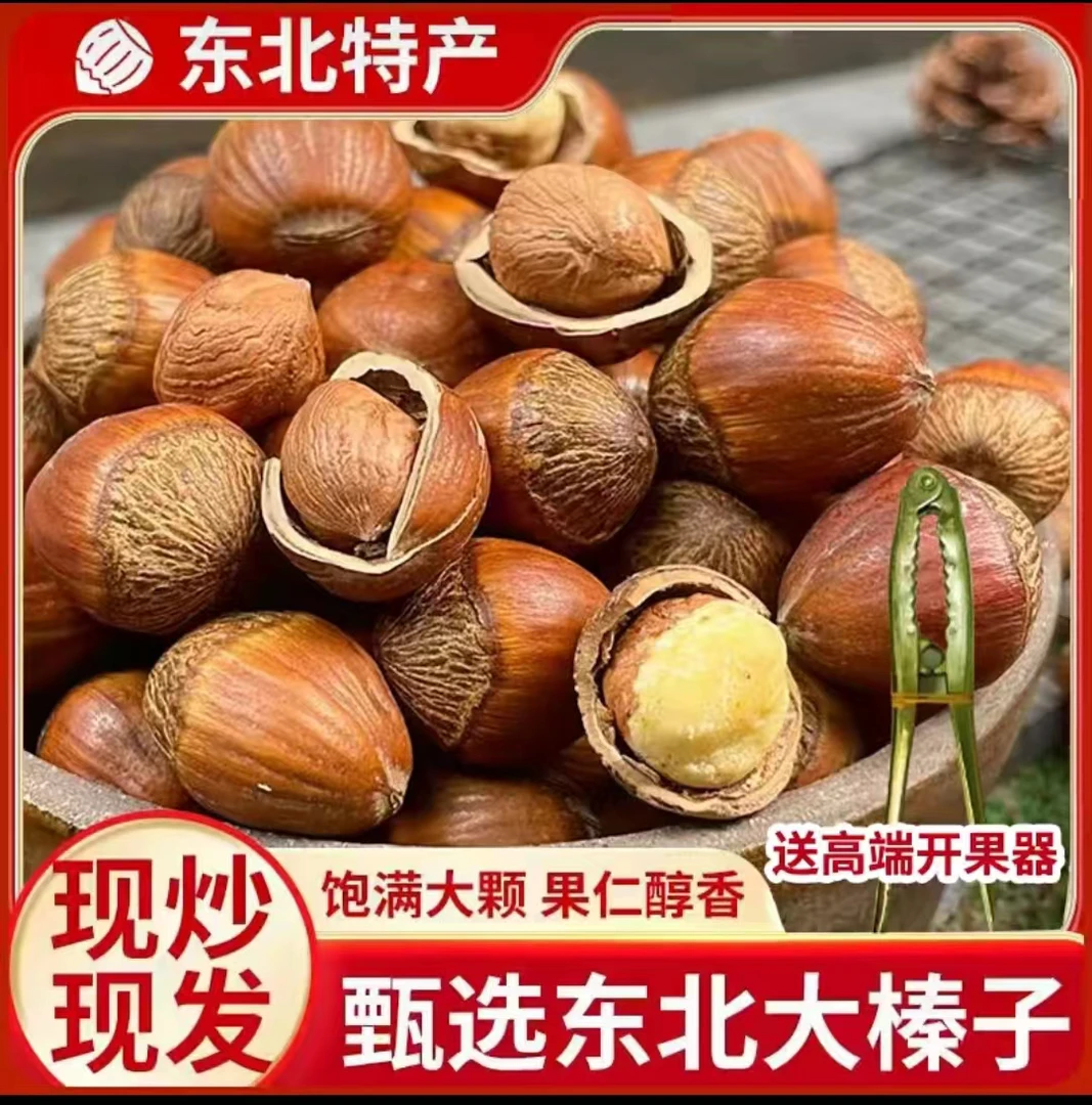 新货东北大果榛子(熟)（嫁接）达维 带夹子