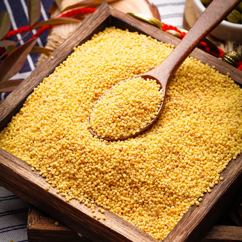 2025优质黄小米5斤装小米