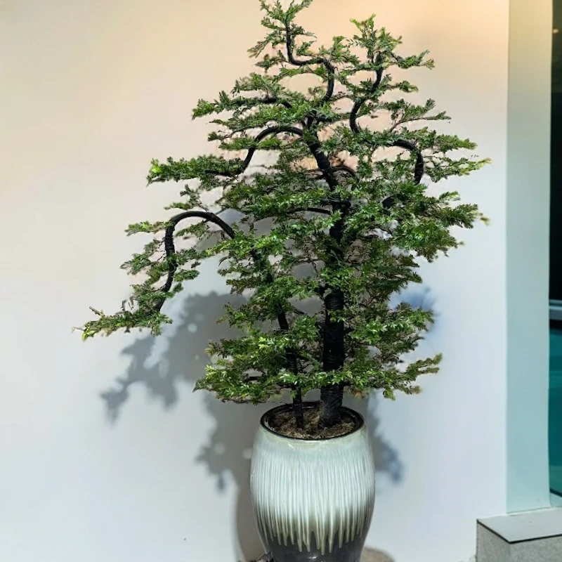 岭南盆景艺术广东小叶紫檀黑古茶鲜活绿植室内外四季常青名贵盆景