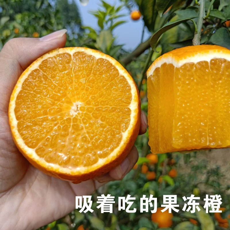 【高途佳品】爱媛38号果冻橙子新鲜水果四川手剥橙子柑橘子4.5-5斤