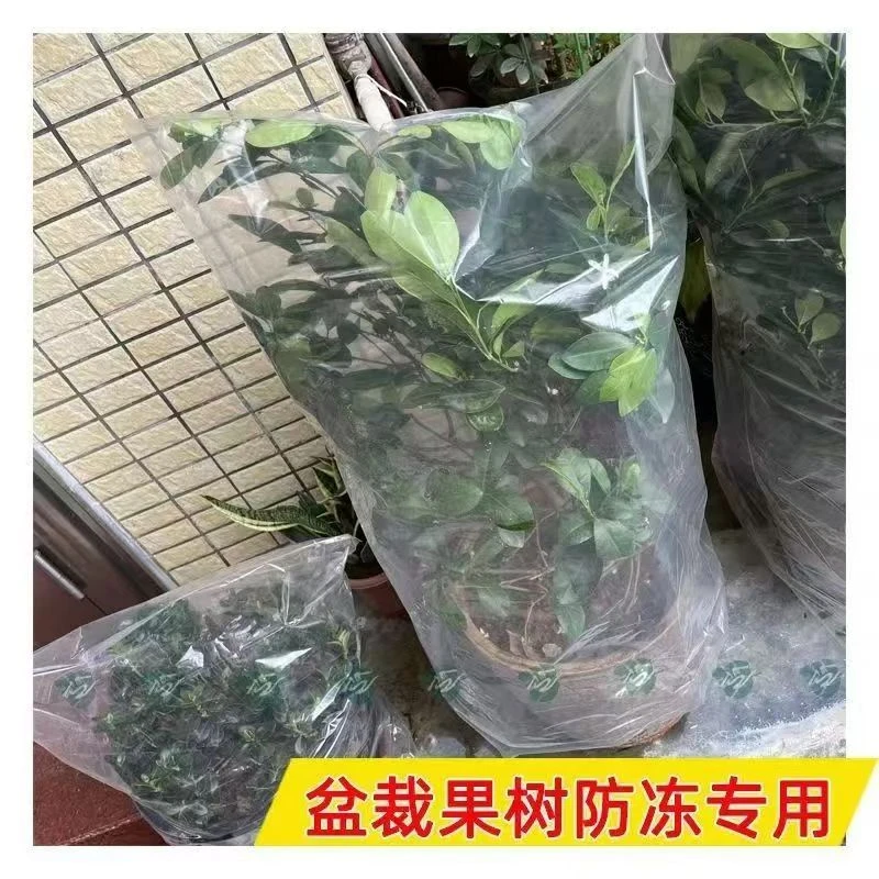 绿植物防冻保温袋塑料膜过冬保护罩花卉盆栽树木防寒布透明抗老化