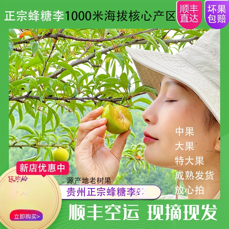 【顺丰快递】贵州蜂糖李新鲜现摘现发李子正宗脆甜产地直发水果