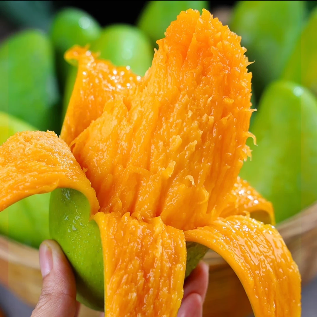 广西百色金煌芒老树花皮果带箱5斤200g-400克 大果6到12个