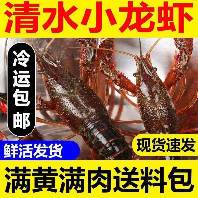 【678钱】正宗潜江鲜活大青小龙虾3斤装顺丰包邮批发零售