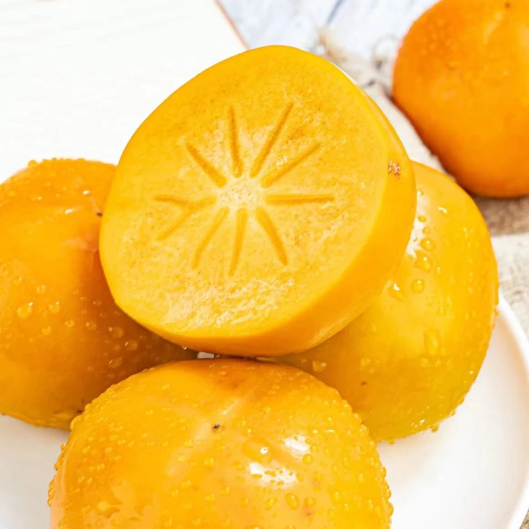 【巧克力脆柿】 硬柿子应季脆皮甜柿子甜脆新鲜水果4盒