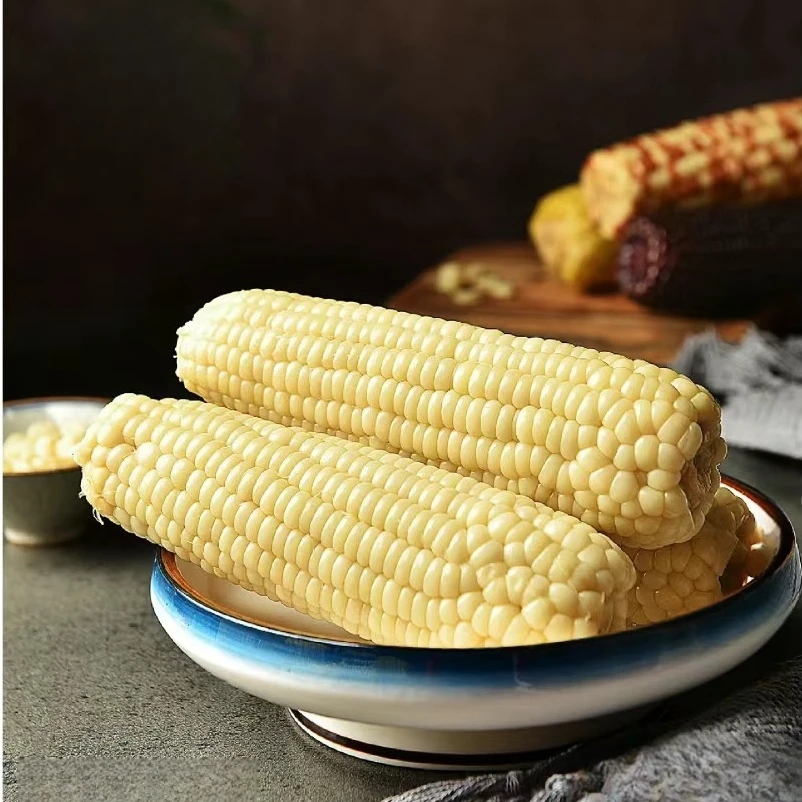 【田园康玉米】 新鲜低脂成熟食用清甜包邮发货香糯香甜