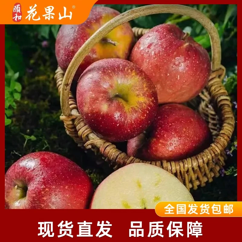 爆糖苹果 远离城市喧闹野蛮生长的苹果肉紧实带箱10斤