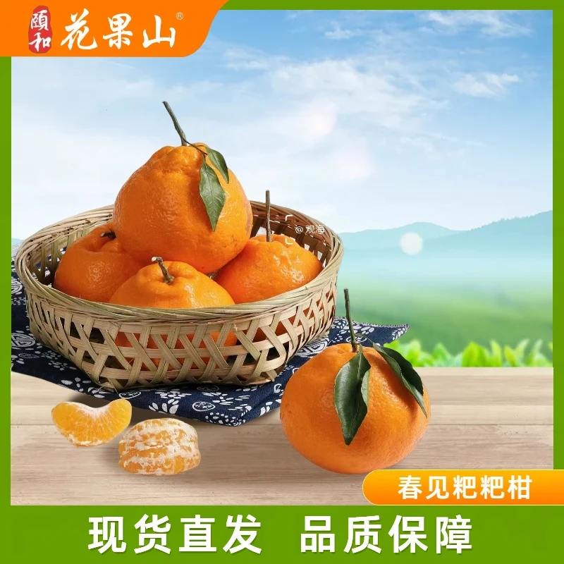 【金猴手提春见耙耙柑】皮薄肉厚优质果新鲜采摘礼盒装带箱4.8斤