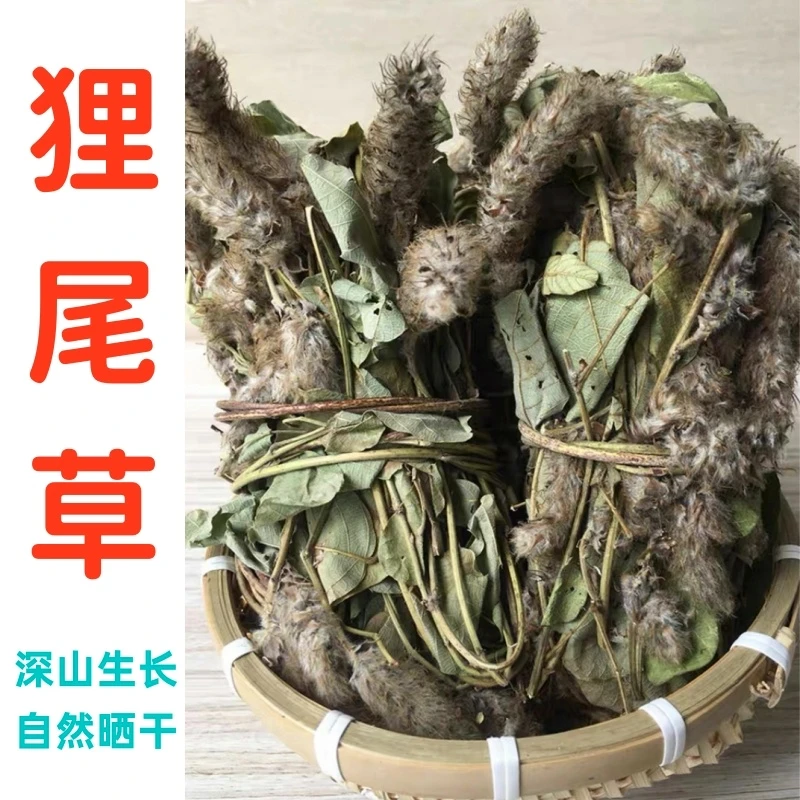 狸尾草根茎深山天然生长猫尾狗尾草新鲜晒干羊咩咩草熬夜煲汤干货