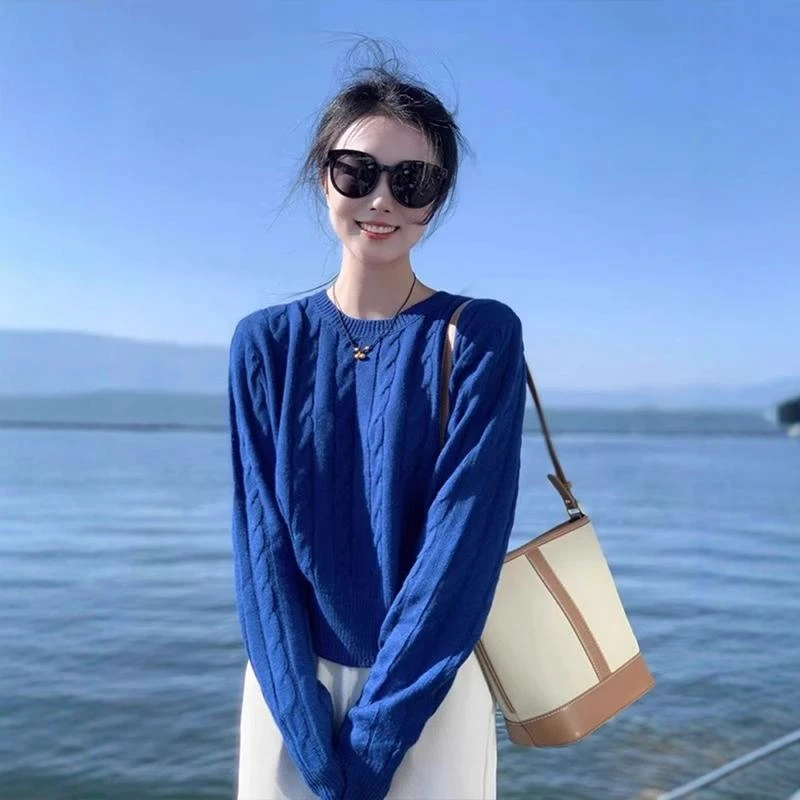 克莱因蓝麻花圆领针织衫女秋冬高级感气质毛衣内搭打底衫短款上衣