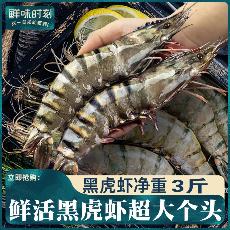 3斤黑虎虾新鲜大虾鲜活超大老虎虾特大基围虾斑节虾九节虾海鲜竹