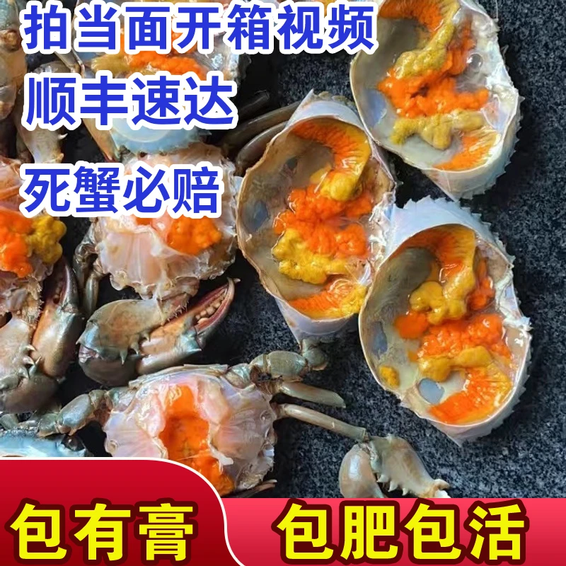 【包活】红膏蟹3-4两野生青蟹包膏鲜美红鲟红膏鲟野生母蟹顺丰发货