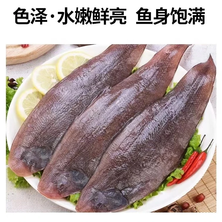 舌头鱼  一斤5条左右