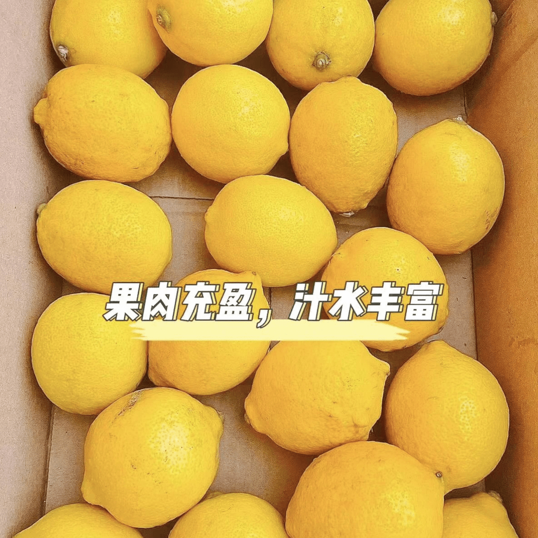 新鲜采摘柠檬饱满丰富VC汁水足 一份500g