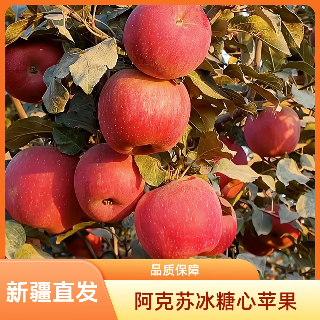 【包邮】新疆阿克苏冰糖心苹果